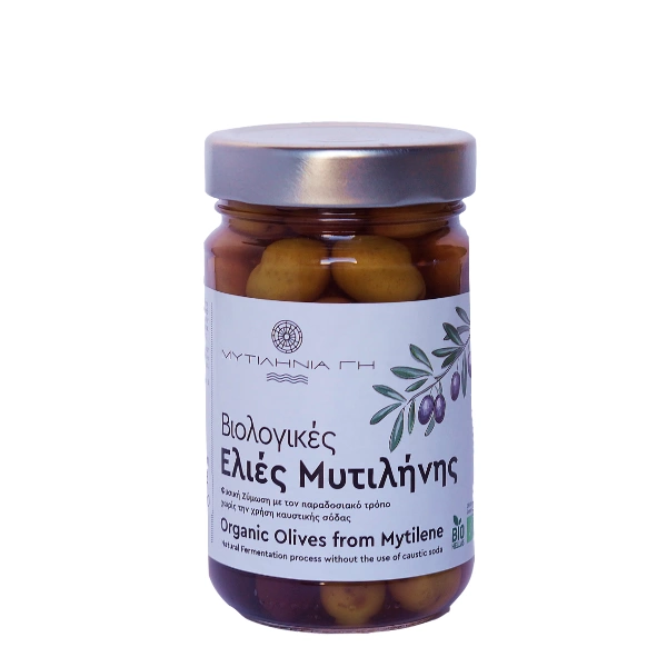 Βιολογικές Ελιές Μυτιλήνης σε Βάζο